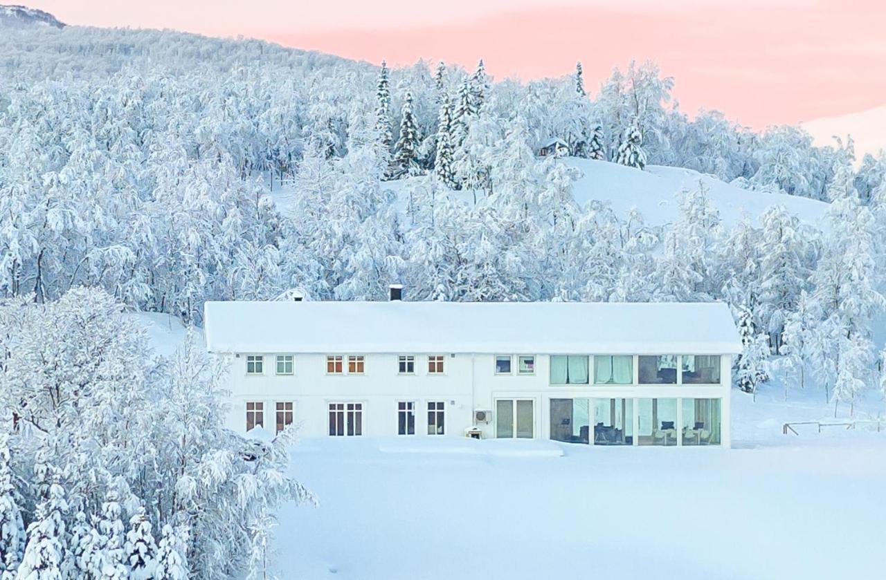Aurora Borealis Observatory Silsand Exterior foto
